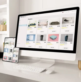 Ecommerce Website Development