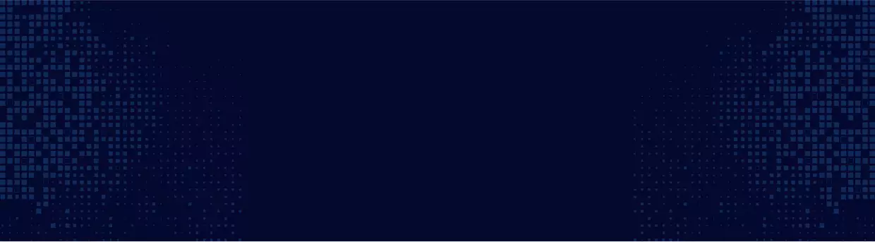 Software Code Verification Testing