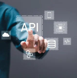Functional API Testing