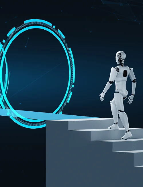 Challenges Addressed