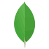 MongoDB