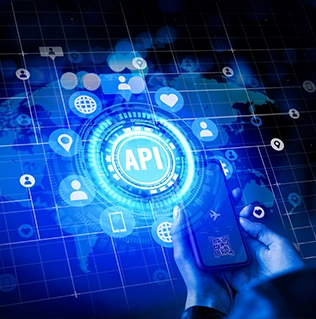 API Automation Testing Services