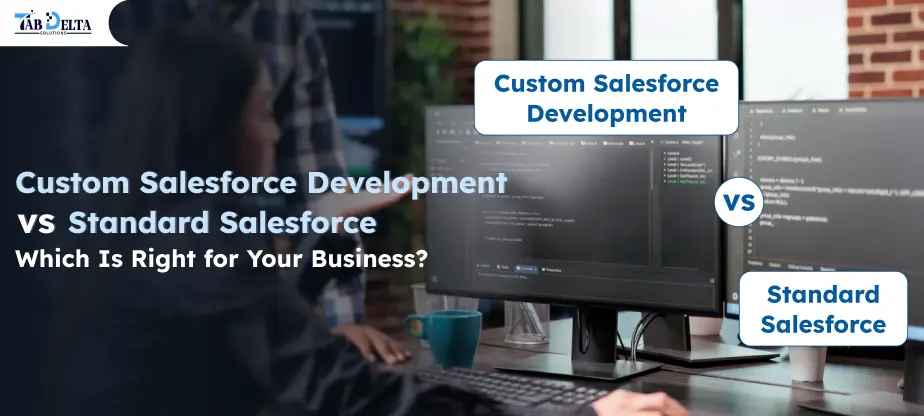 Custom Salesforce Development vs Standard Salesforce