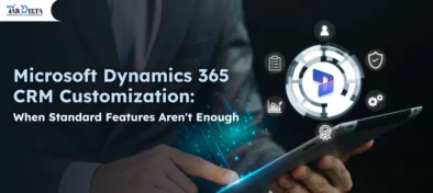Microsoft Dynamics 365 CRM Customization